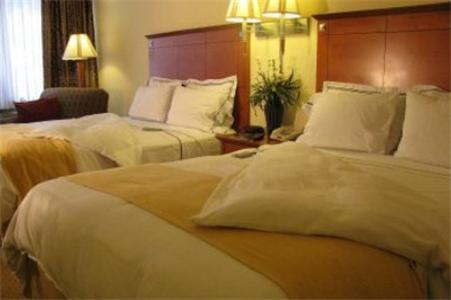 Charleston Airport Hotel North Charleston Rom bilde